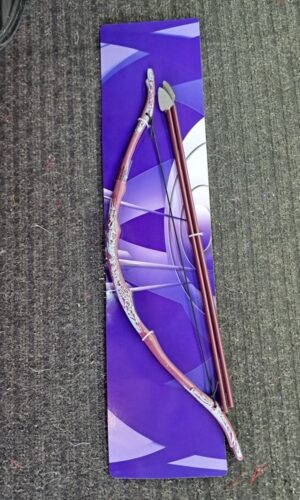 Bow and Arrow Set