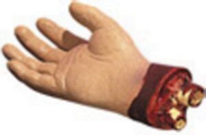 Cut Off Hand