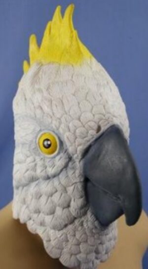 Parrot Mask