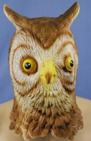 Owl Mask