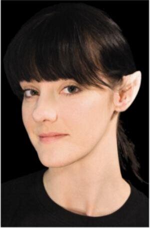 Prosthetic Small Ear Tips