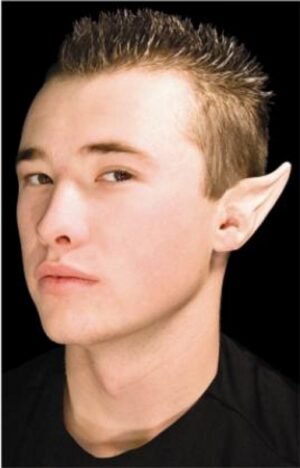 Prosthetic Large Ear Tips