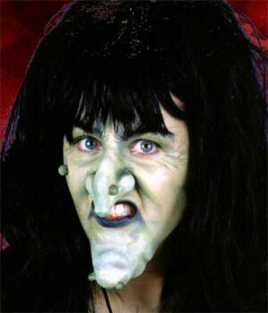 Prosthetic Large Witch Nose